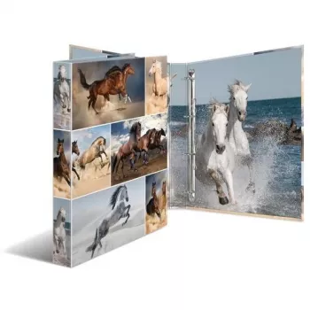 Carpeta de anillas A4 HERMA 19360 multicolor