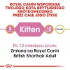 Pienso para gatos Royal Canin British Shorthair Kitten 2 kg — Pollo, 38 % proteínas, 20 % grasas, fórmula de crecimiento