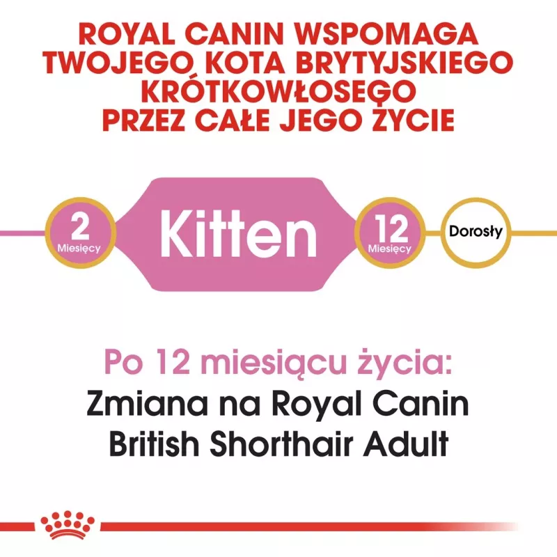 Pienso para gatos Royal Canin British Shorthair Kitten 2 kg — Pollo, 38 % proteínas, 20 % grasas, fórmula de crecimiento