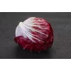 Semillas de hortalizas lechuga achicoria Palla Rossa 3 Toraf, paquete de 5g