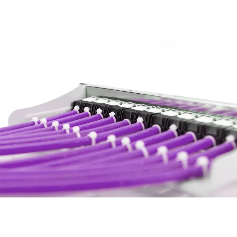 Cable de red Digitus Cat.6 U/UTP 305 m violeta