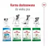 ROYAL CANIN Adult Mini S - Pienso seco para perros - 4 kg