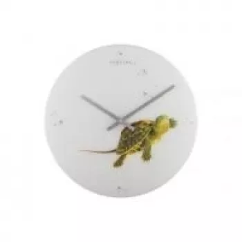 Reloj NeXtime 8137 Turtle, Ø43 cm, pared, blanco/verde