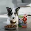 ANIMAL ISLAND Everyday Monoproteico ternera - comida húmeda para perros - 300g