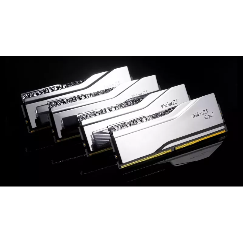 Módulo de memoria G.Skill DDR5 48GB 8000MHz
