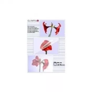 Funda de laminar Olympia 1x50 DIN A3 125 micras