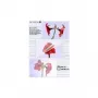 Funda de laminar Olympia 1x50 DIN A3 125 micras