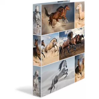 Carpeta de anillas A4 HERMA 19360 multicolor