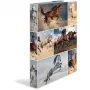 Carpeta de anillas A4 HERMA 19360 multicolor