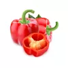 PNOS pimiento Jolanta semillas de hortalizas, 0,5 g