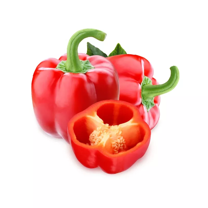 PNOS pimiento Jolanta semillas de hortalizas, 0,5 g