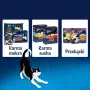 Felix Fantastic Conejo, cordero - Alimento húmedo para gatos 340 g (4x 85 g)