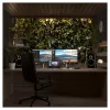 JAPANNEXT JN-IPS275K-HSPC9 16:9 HDMI/DP 5K - monitor plano (TFT/LCD)