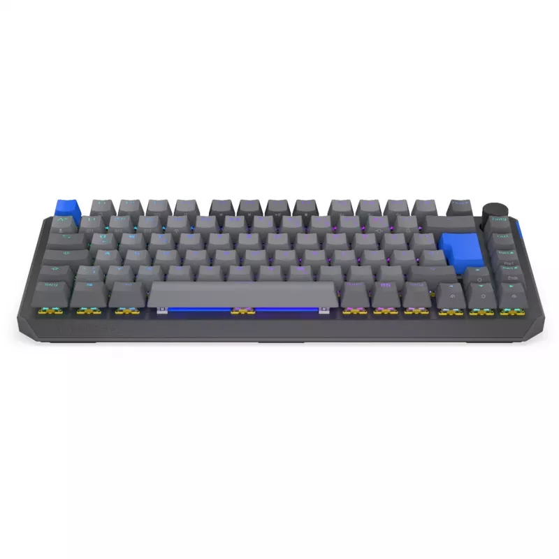 Teclado mecánico inalámbrico compacto 75% ENDORFY Thock V2 con interruptores amarillos, Distribución DE
