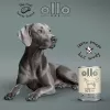 OLLO Pure Horse - pienso húmedo para perros - 400g