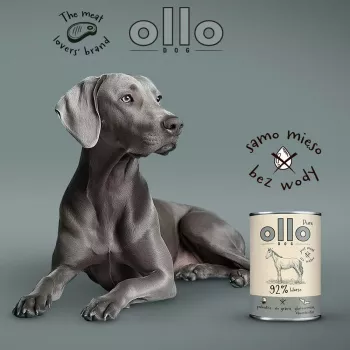 OLLO Pure Horse - pienso húmedo para perros - 400g