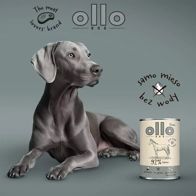 OLLO Pure Horse - pienso húmedo para perros - 400g