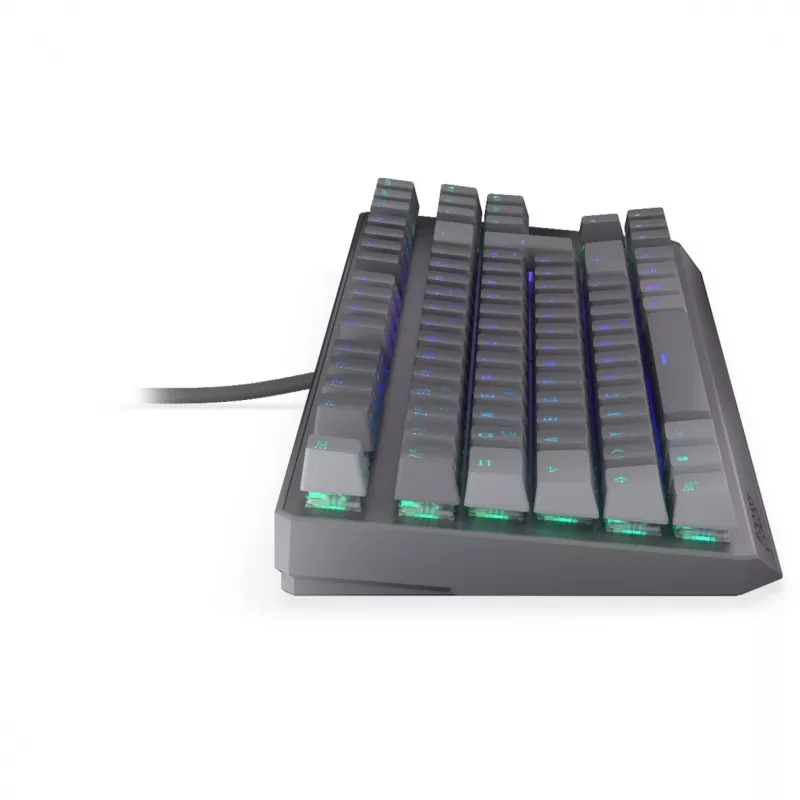 Teclado mecánico ENDORFY Thock V2 TKL con interruptores rojos, Tenkeyless, Distribución DE