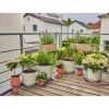 Sistema de riego por goteo Gardena 13401-20 longitud de manguera 20 m