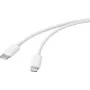 Basetech cable USB USB 2.0 conector USB-C®, conector Apple Lightning 2,00 m blanco BT-2347612