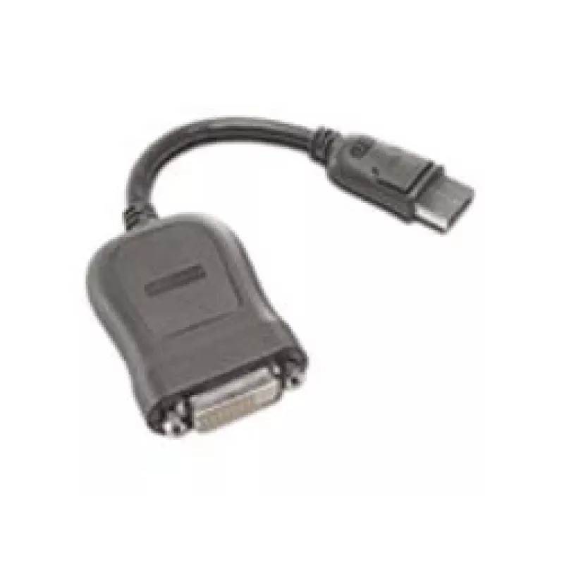 Adaptador DisplayPort a Single-Link DVI-D Lenovo 45J7915