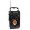 Squeak Bassblaster Altavoz Bluetooth 5.1, radio FM, reproductor MP3 SQ1001