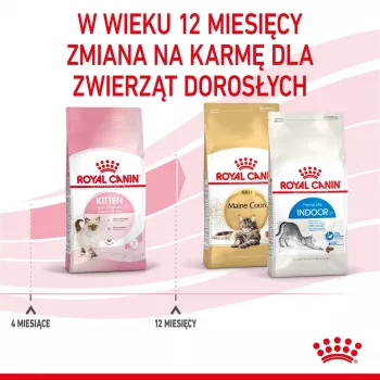 Pienso para gatos Royal Canin Kitten 4 kg ave — Pienso junior, 36 % proteínas, 18 % grasas