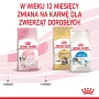 Pienso para gatos Royal Canin Kitten 4 kg ave — Pienso junior, 36 % proteínas, 18 % grasas