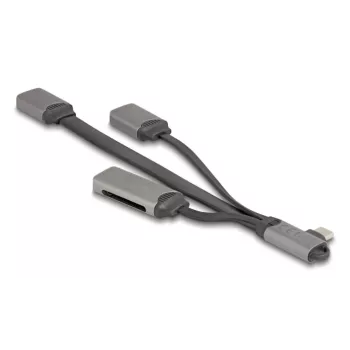 DeLOCK 64303 Hub USB 3.2 Gen 1 Type-C 5000 Mbit/s Gris