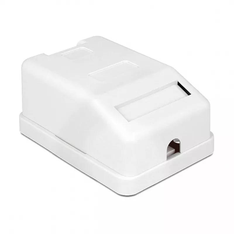Delock 86235 caja de superficie Keystone, 1 puerto, con protección contra el polvo, blanca