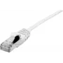 Cable de red Dexlan 858742 0,3 m Cat6a S/FTP RJ-45