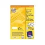 Avery - Etiquetas - blanco - A4 (210 x 297 mm) - 100 uds. 64) (3667)