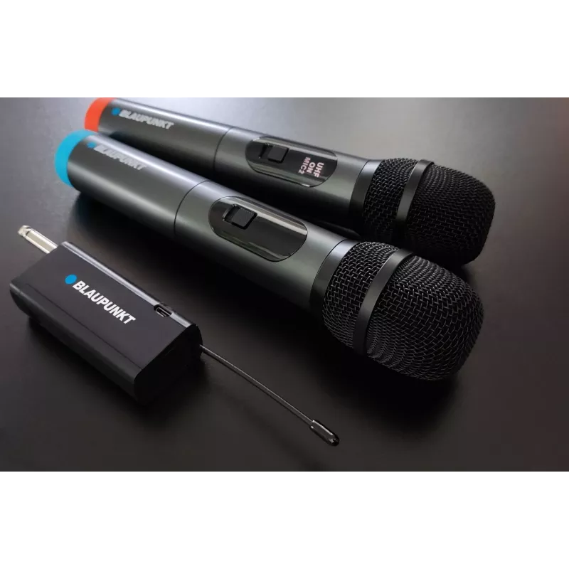 Micrófono Blaupunkt WM60UDB