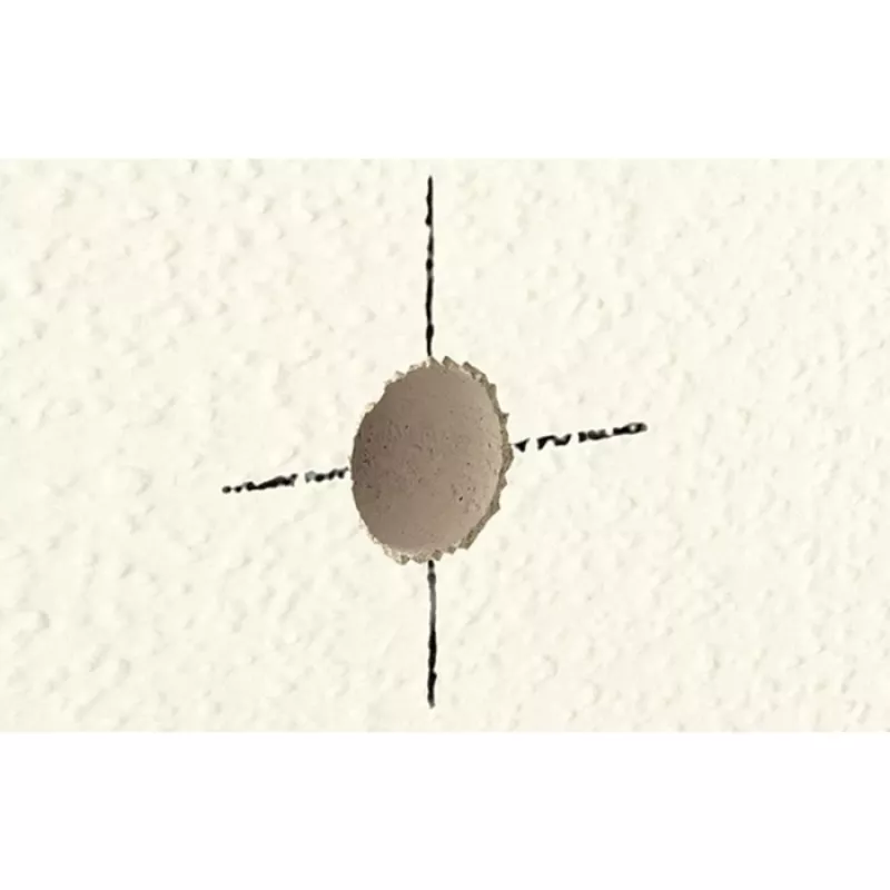 fischer ESPÁTULA DE REPARACIÓN - Metal - Plástico - Madera - Universal - Techo - Pared - Blanco - Tubo - 70 ml