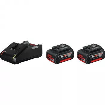 Bosch 1 600 A01 9S0 set de batería y cargador