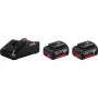 Bosch 1 600 A01 9S0 set de batería y cargador