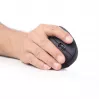 Ratón Gembird MUSW-ERGO-01 para diestros RF inalámbrico óptico 1600 DPI
