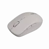 Ratón Canyon MW-12 dualband inalámbrico beige - ratón - 2.400 dpi (CNS-CMSW12BG)