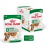 Comida húmeda Royal Canin Mini Ageing 12+ Adult 85 g bolsa — razas pequeñas, aves, senior