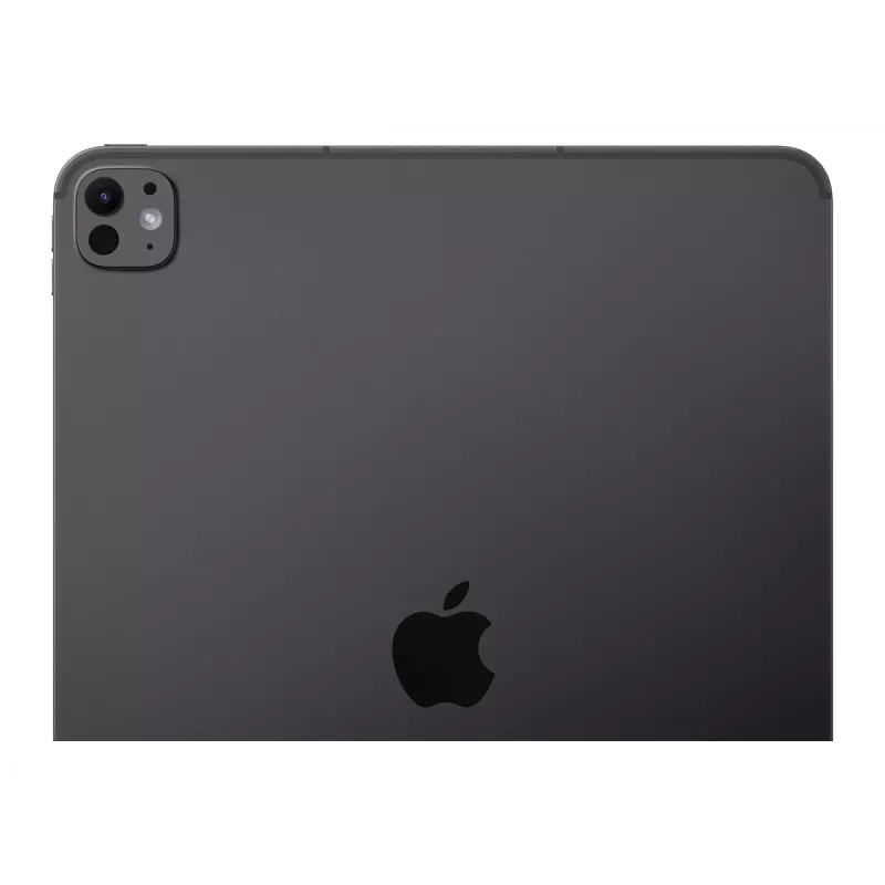 APPLE 33cm 13