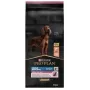 PURINA Sensitive Skin Large Athletic Adult Salmon - Alimento seco para perros - 14 kg