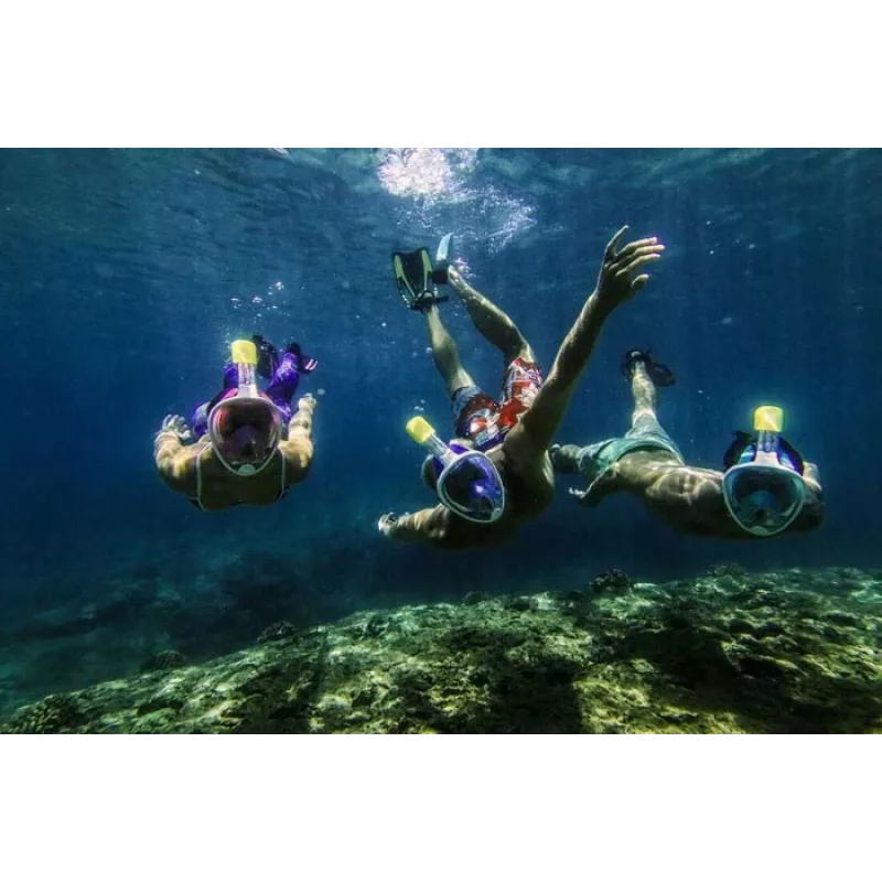 Máscara de snorkel Free Breath M2068G L/XL — máscara de snorkel de visión completa, talla L/XL, negro