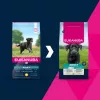 Pienso seco para perros EUKANUBA Adult Large Chicken 15 kg — pienso seco para perros adultos de razas grandes, pollo, 15 kg