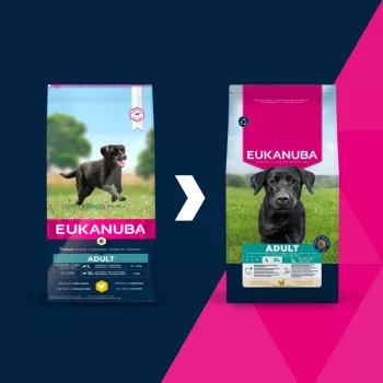 Pienso seco para perros EUKANUBA Adult Large Chicken 15 kg — pienso seco para perros adultos de razas grandes, pollo, 15 kg