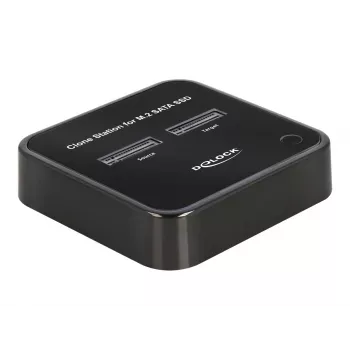 DeLOCK 64178 Estación de acoplamiento USB 3.2 Gen 2 Type-C SSD M.2