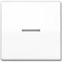 Jung AS 591 KO5BFS WW Tecla basculante para interruptor de control, blanco