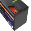 Qoltec 53702 Batería LiFePO4 de litio-hierro-fosfato | 12,8V | 24Ah | 307,2Wh | BMS