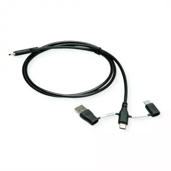 Cable ROLINE USB 2.0 Type-C ST/ST con adaptadores de bloqueo de datos A y C - cable - digital/datos