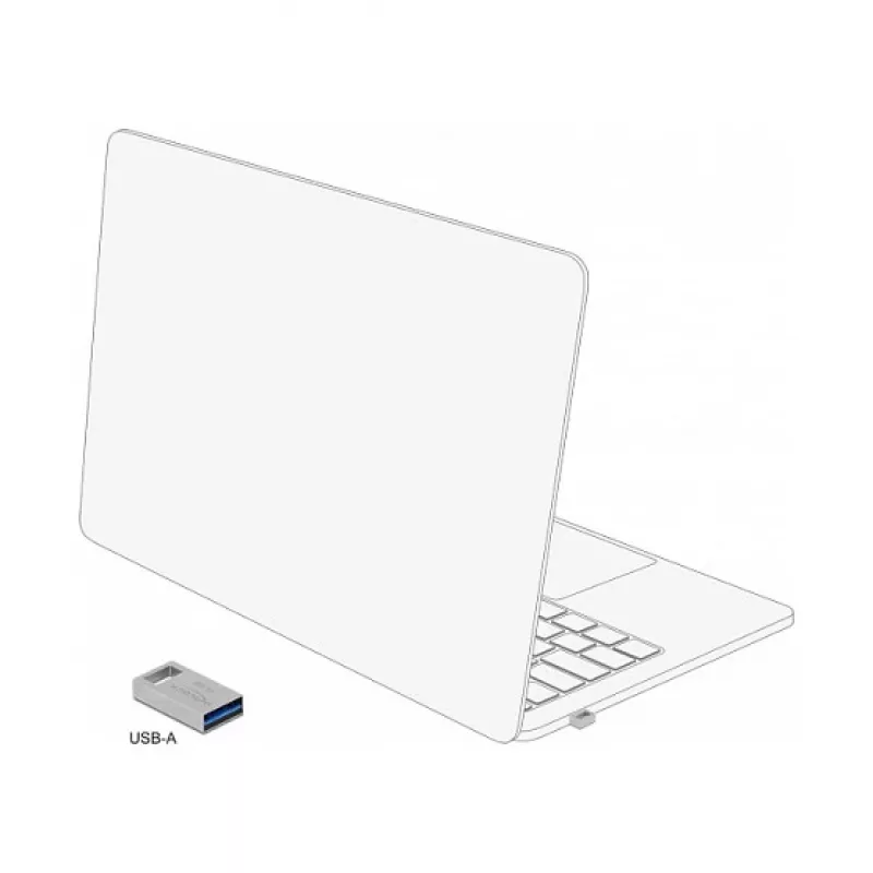 Memoria flash USB DeLOCK 16 GB USB Type-A 3.2 Gen 1 54069