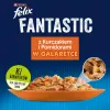 Felix Fanstastic Pollo, tomate - Alimento húmedo para gatos - 85 g